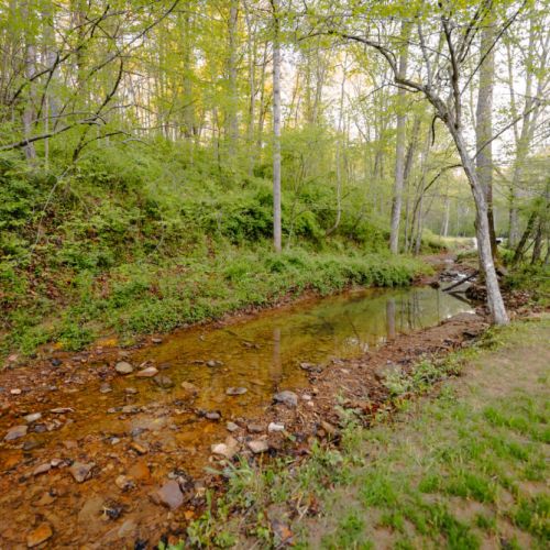 The  seasonal creek at Villa Creek