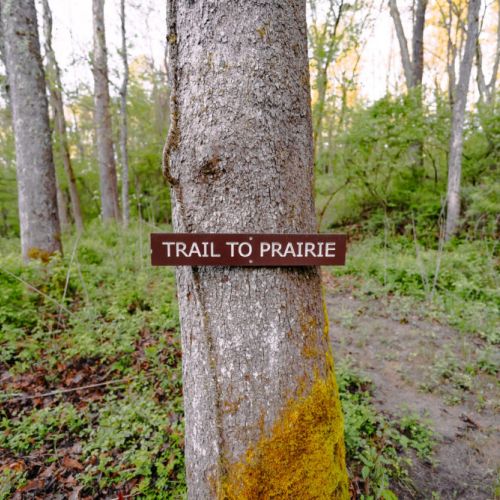 Catch the trail from Villa Creek to Prairie.