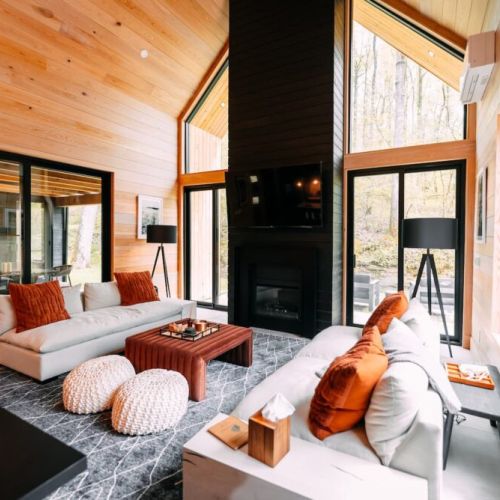 Living room with electric fireplace